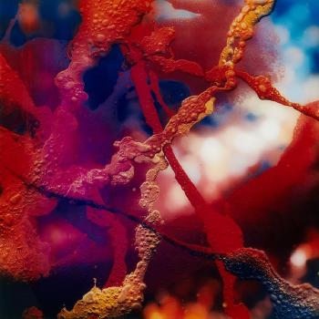 Floating reds-rojo by 
																	Dario Urzay