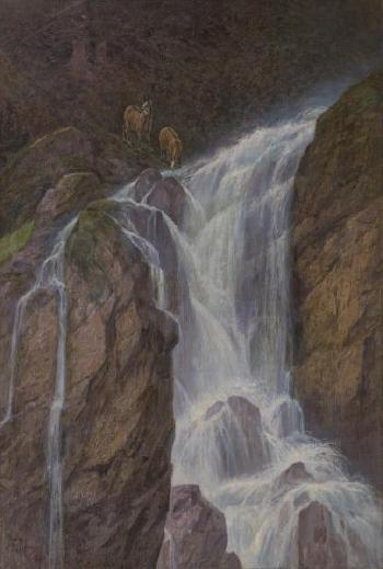 Chamois et cascade by 
																	Frederic Rouge
