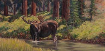 Moose by 
																			Richard Galusha