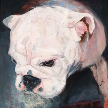 English bulldog by 
																	Pieter Pander