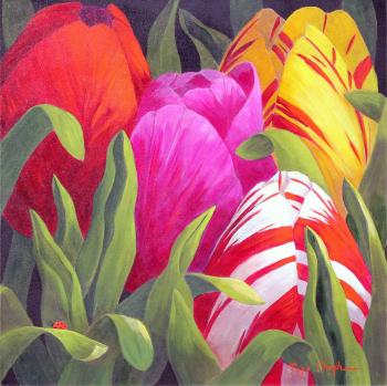 Spring Colours - Tulips by 
																	Page Ough