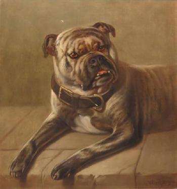 Portrait of a bulldog by 
																	Walter Harrowing