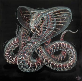Translucent cobra I by 
																	 Nychos
