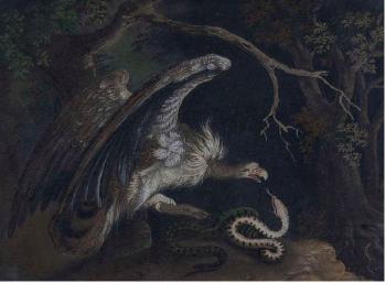 Vulture and Serpent in a Woodland by 
																			Benjamin Zobel