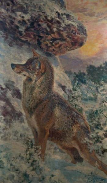 Loup aux aguets dans les rochers by 
																	Roger Andre Fernand Reboussin