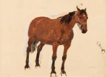 Etude de cheval by 
																	Rene Princeteau