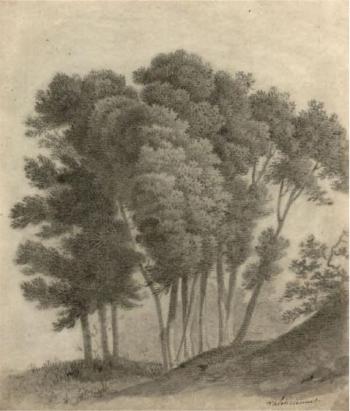 Paysage au bouquet d'arbres by 
																	Pierre Henri de Valenciennes