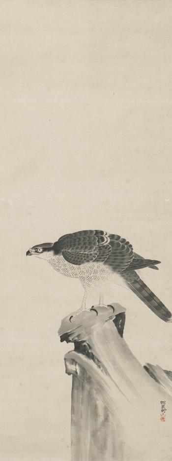 Hawk on a rock by 
																	 Kano Sansetsu