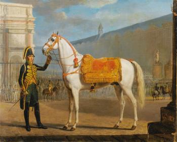 Sara, Napoleon's Horse by 
																	Alexander Sauerweid