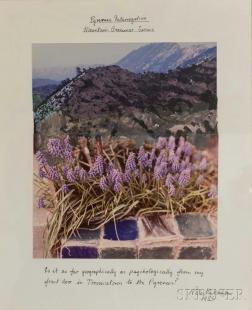 Pyrenees Interrogative, Mountain Grammar Series by 
																	Peter Hutchinson
