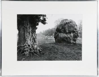 Stone and Tree, Avebury, England by 
																			Paul Caponigro