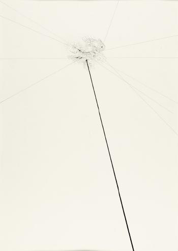 Untitled (Umbrella) by 
																	Ralf Ziervogel