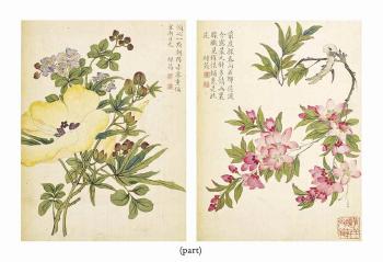 Album De Fleurs by 
																	 Zhu Lin