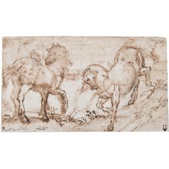 Étude de chevaux by 
																	Filippo d'Angeli