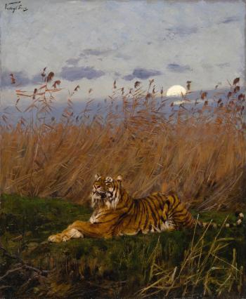 A Tiger Among Rushes In The Moonlight by 
																	Geza Vastagh