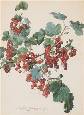 Red currant by 
																	Leopold Zinnogger