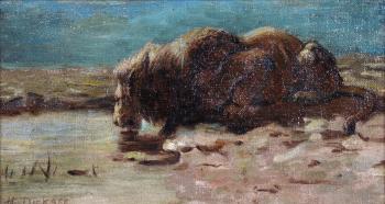 Life study, of a lion drinking by 
																			Herbert Dicksee