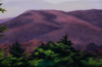 Buffalo Mountain by 
																			Coralie Tweed