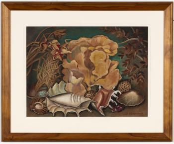 Still life with seashells by 
																	Adele Younghusband
