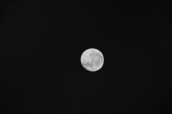 Moon by 
																			Sarah Charlesworth