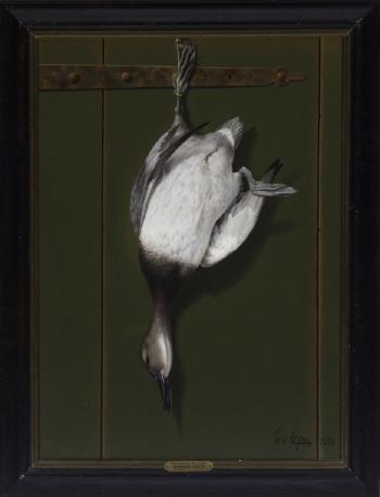 Canvasback on a Door by 
																			George Cope