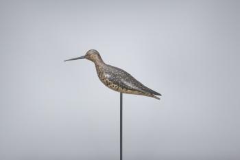 Greater Yellowlegs by 
																			A Elmer Crowell