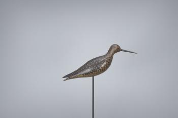 Greater Yellowlegs by 
																			A Elmer Crowell