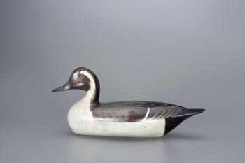 Pintail Drake by 
																			Charles Perdew