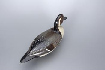 Pintail Drake by 
																			Charles Perdew