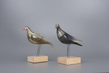 Pair of Rock Dove by 
																			Charles Perdew