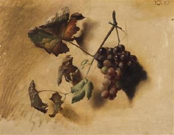 A Study of a Vine by 
																	Vaclav Jansa