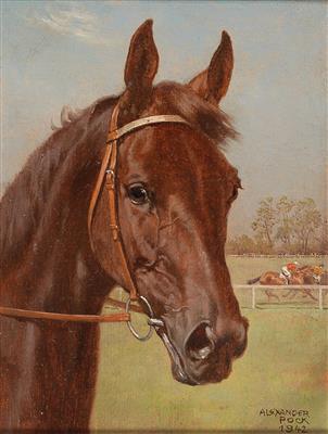 Bay racehorse by 
																			Alexander Pock