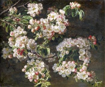 Apfelblüten by 
																	Emma Mulvad