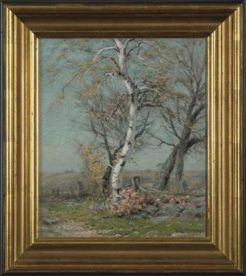 Birch by the side of a road by 
																	Albert Insley