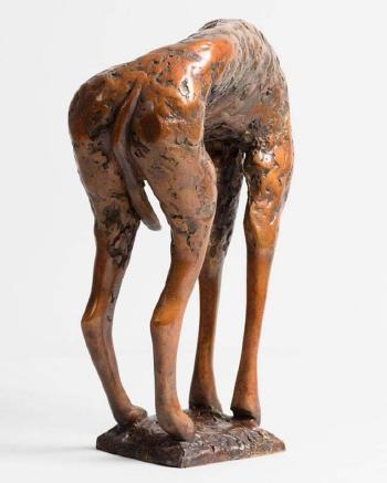 Greyhound by 
																			Anna Linnane