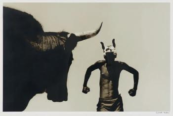 Bull by 
																	Stuart Redler