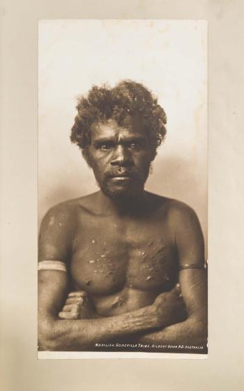 Album of Australian Aboriginals J. W. Lindt by 
																			John William Lindt