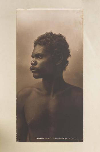 Album of Australian Aboriginals J. W. Lindt by 
																			John William Lindt