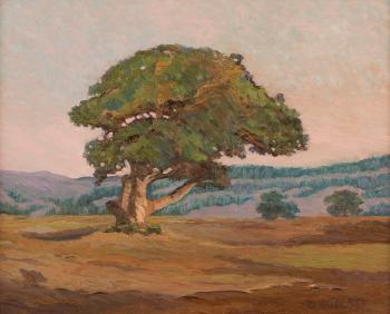 Tree in a rolling hill landscape, Salinas, CA by 
																			Jesse Don Rasberry