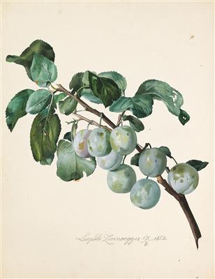 A branch of greengage; A bunch of flowers by 
																	Leopold Zinnogger
