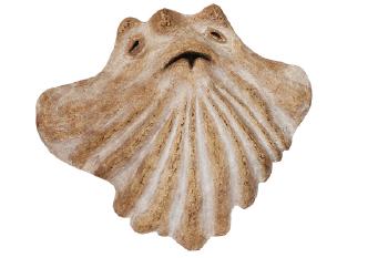 Fossil face by 
																	William E Yaxley