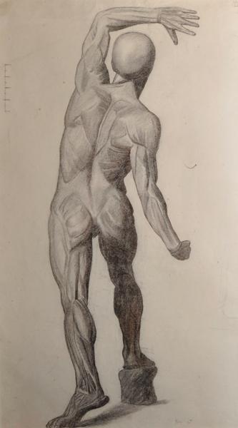 A Study from an Echorche from the Back by 
																			Estella Louisa Michaela Canziani