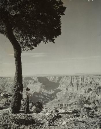 Amish Boy at the Grand Canyon by 
																			Gordon Converse