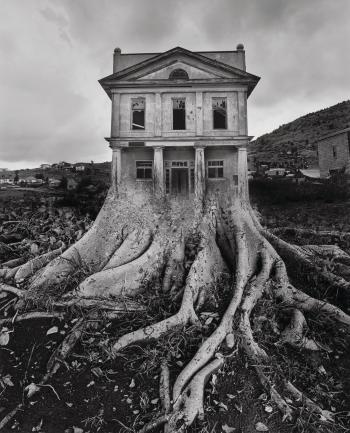 Untitled (House and Roots), 1982 by 
																			Jerry Uelsmann