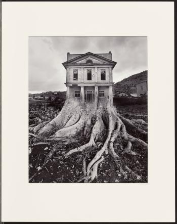 Untitled (House and Roots), 1982 by 
																			Jerry Uelsmann