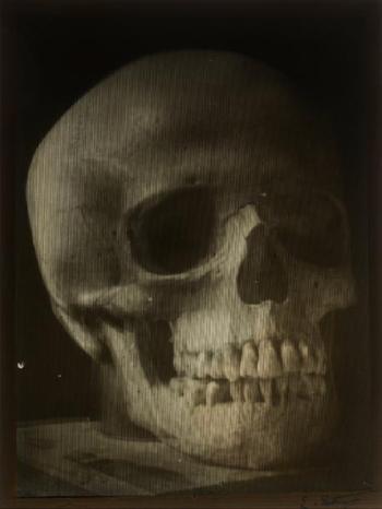 Crâne humain by 
																	Eugene Estanave