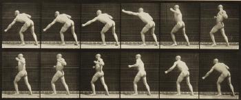 Selected Motion Studies by 
																	Eadweard Muybridge