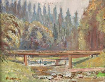 Mostek w Tatrach by 
																	Czeslav Rzepinski