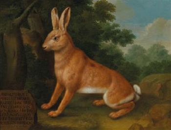 A hare by 
																			Johann Conrad Justus Hunneman
