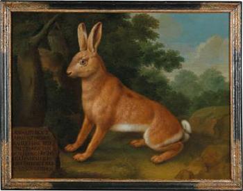 A hare by 
																			Johann Conrad Justus Hunneman